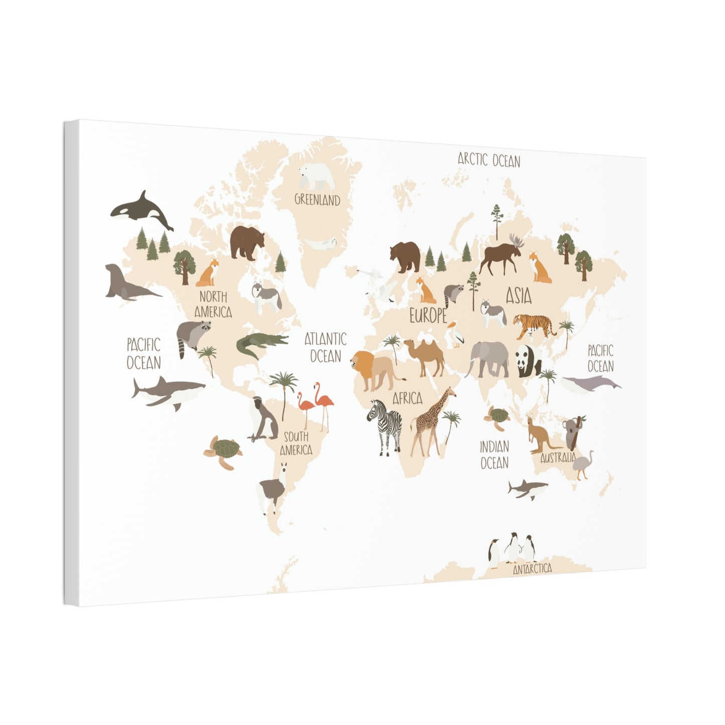 OVI Home Collection: Map of the World Children's Canvas Wall Art (Bright White)