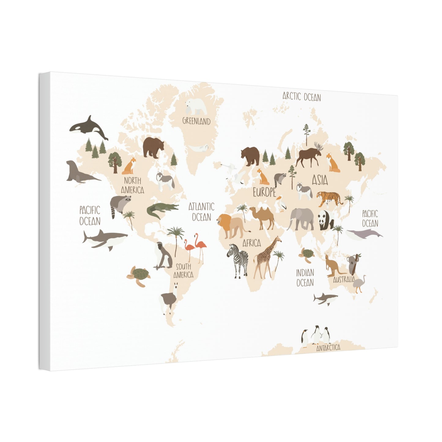 OVI Home Collection: Map of the World Children's Canvas Wall Art (Bright White)