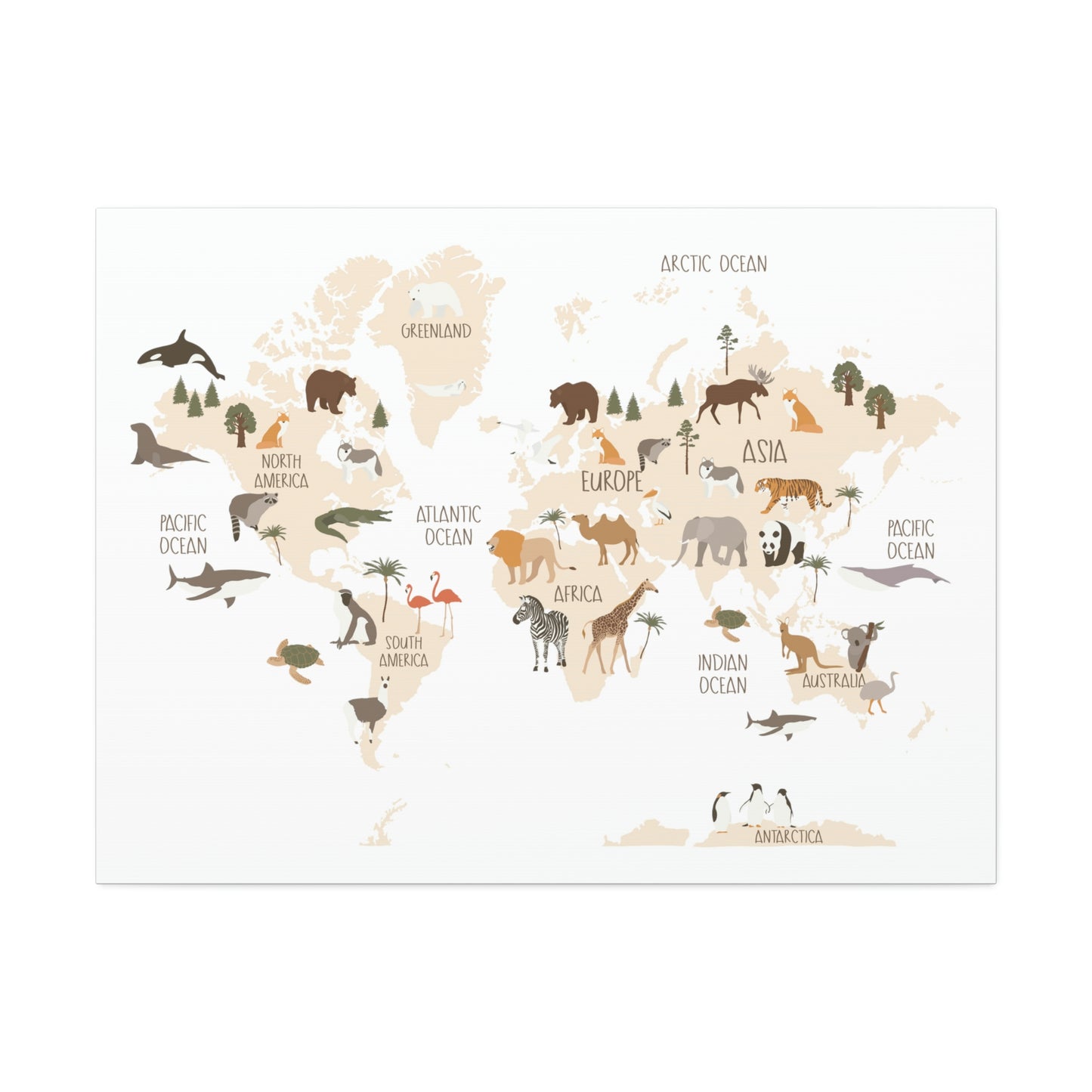 OVI Home Collection: Map of the World Children's Canvas Wall Art (Bright White)